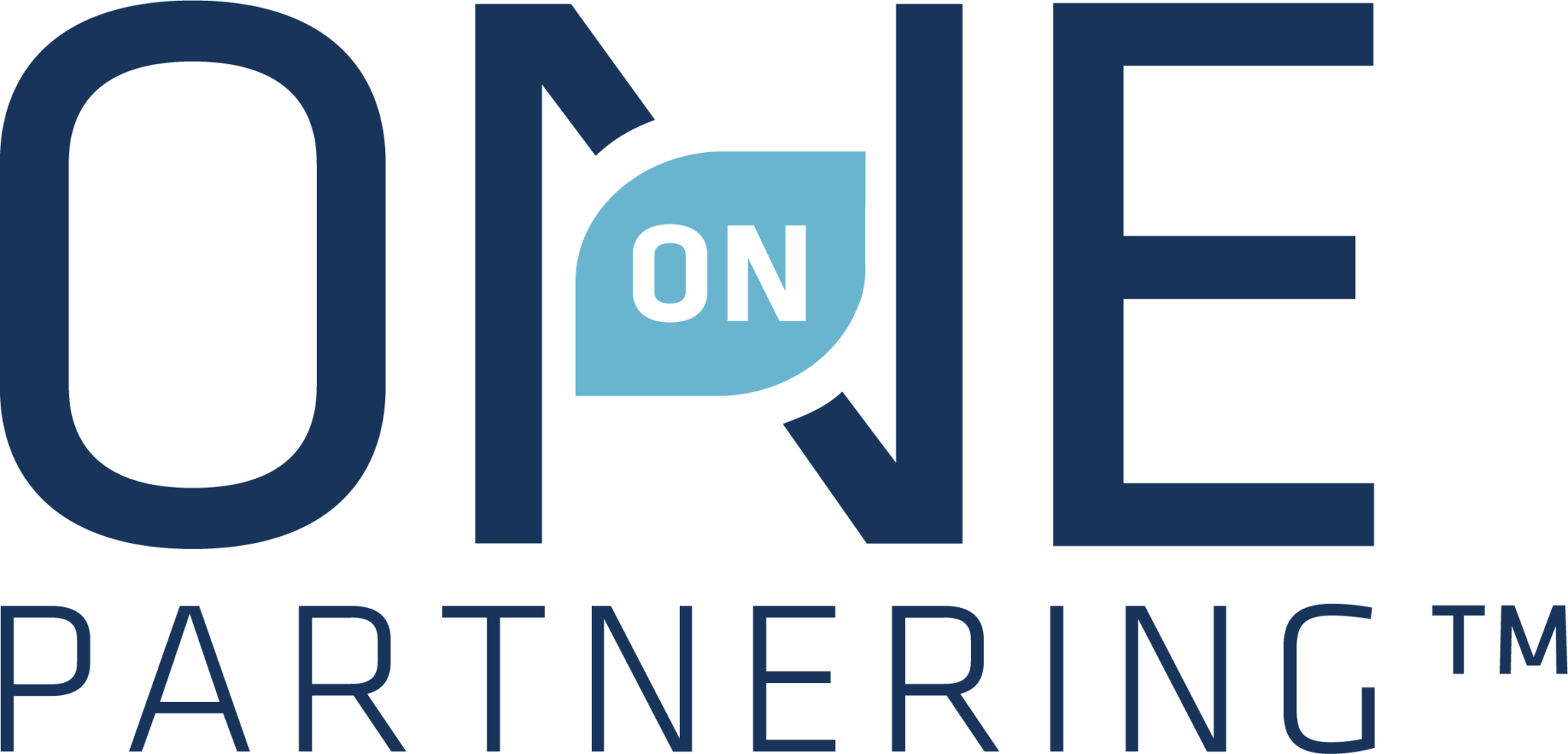 One-on-One Partnering Platform logo